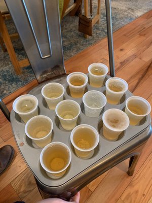 Blue Toad Hard Cider by null