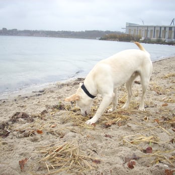 Ostseebad - Beaches Near Me - Flensburg, SH Ostseebad - Beaches Near Me - Flensburg, SH