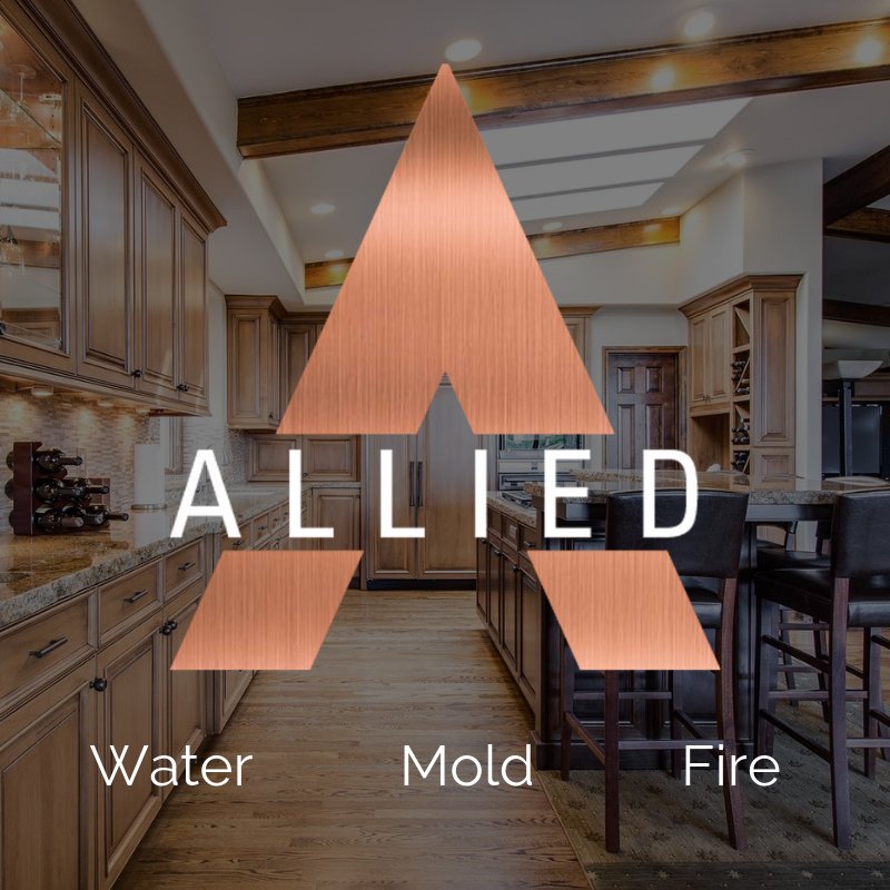 ALLIED RESTORATION SERVICES LLC