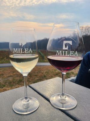Milea Estate Vineyard by null