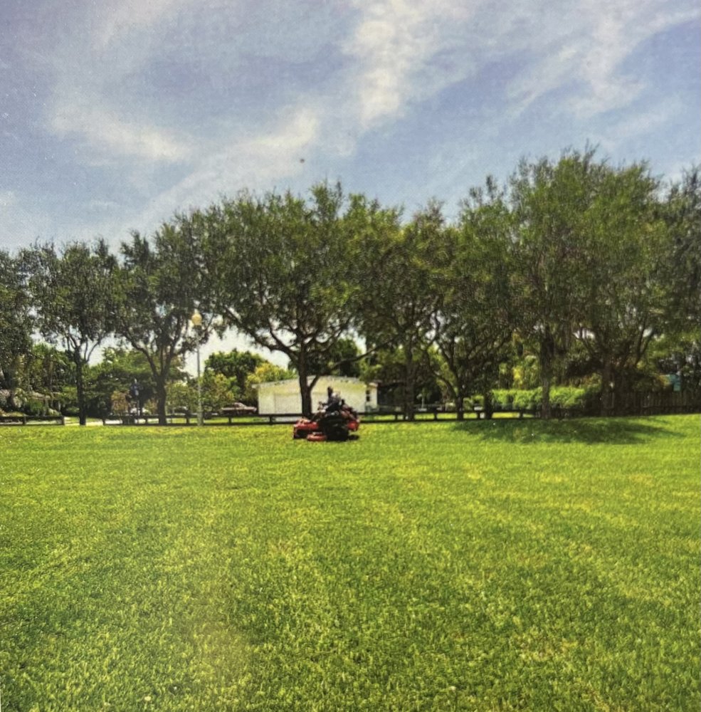 E Rodriguez Landscaping - tree service in Miami, FL