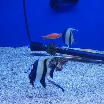 Aqua Knowledge - Aquarium Services Near Me
