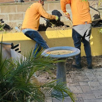 Hernandez Tree Service - Workers removing root ball of tree - Tree Services Near Me - Castro Valley, California