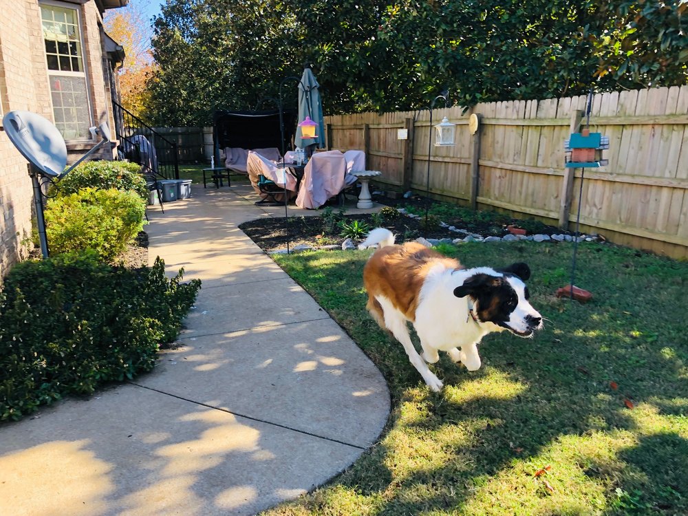 PawLA - pet boarding facility in Murfreesboro, TN