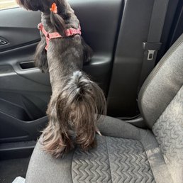 Mary Jane's new hair cut !