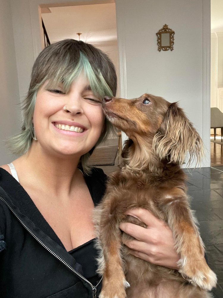 Nashville Dog Walkers - pet boarding facility in Nashville, TN