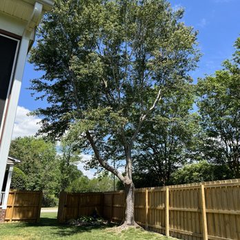 Timberman Tree Service - Tree Services Near Me - Zebulon, North Carolina