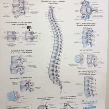 Bone and Joint Clinic Physical Therapy - Information reading - Physical Therapy Near Me - Terrytown, Louisiana Bone and Joint Clinic Physical Therapy - Information reading - Physical Therapy Near Me - Terrytown, Louisiana