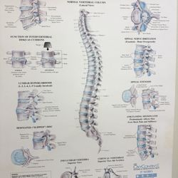 Bone and Joint Clinic Physical Therapy - Information reading
