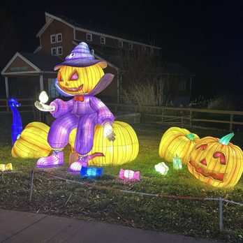 Glo Wild - Festivals Near Me - Kansas City, Missouri