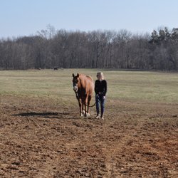 Wild Rose Equestrian Center - Huge pastures for horses