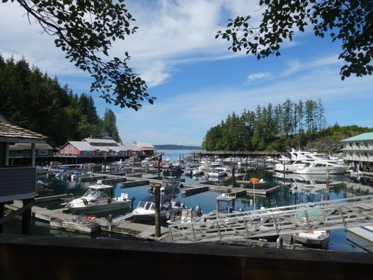 Telegraph Cove Resort by null