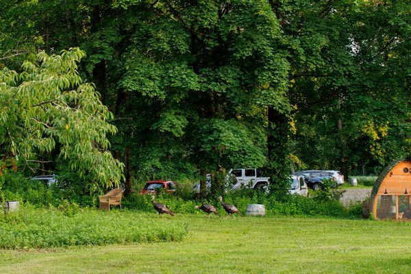 Plan Bee Farm Brewery by null