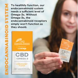 CBD American Shaman Las Cruces