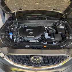 Showcase Ceramic Coating Solutions - Clean engine