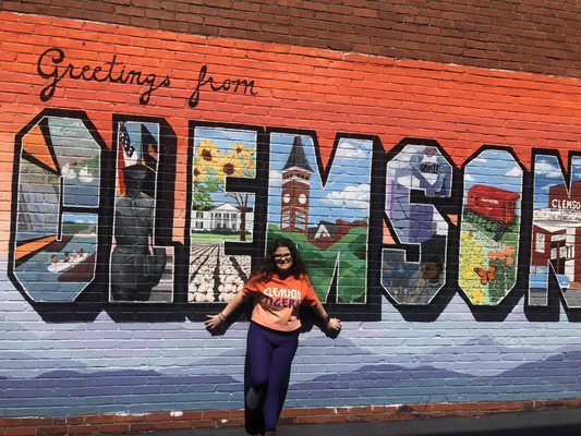 Clemson University by null