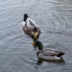 Quarterman Park