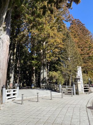 Okunoin Cemetery by null