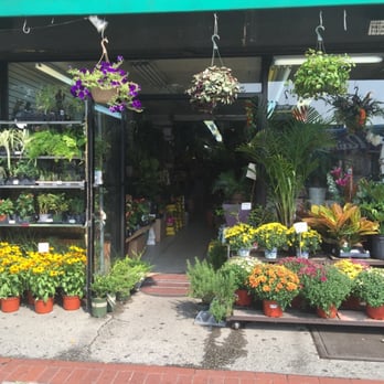 Spring Flower - Florists Near Me - Ridgewood, New York Spring Flower - Florists Near Me - Ridgewood, New York
