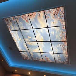 Moonrise Body Work - Beautiful ceiling