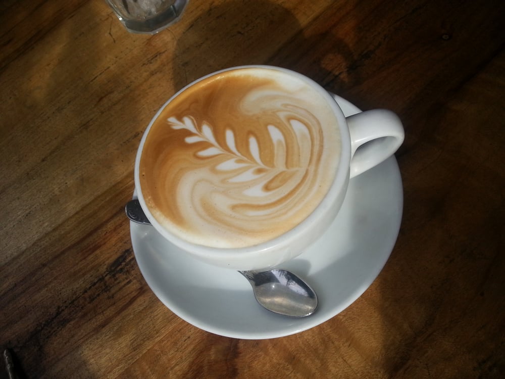 HOLY MOLY ESPRESSO Updated July 2024 10 Photos 226 Leichhardt St