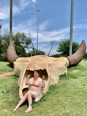 Frontier Texas! by null