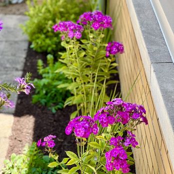 Dante's Native Landscape Services - Landscaping - Landscaping Near Me Dante's Native Landscape Services - Landscaping - Landscaping Near Me