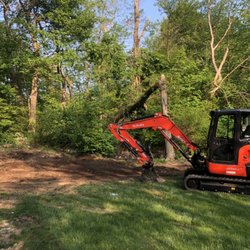 Ragusa Companies - 4 Trees and stumps!