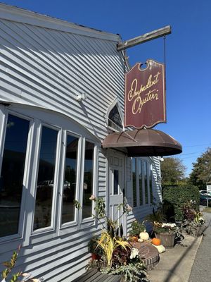 Impudent Oyster by null