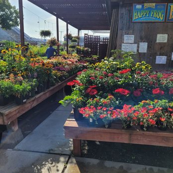 Walter Andersen Nursery - More plants - Nurseries & Gardening Near Me - San Diego, California Walter Andersen Nursery - More plants - Nurseries & Gardening Near Me - San Diego, California
