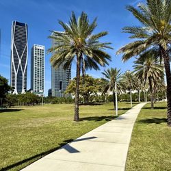 Maurice A Ferré Park - Strolling through the park with downtown backdrop