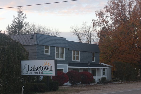 laketown cat hospital