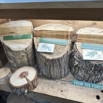 Forks Timber Museum - Museums Near Me - Forks, Washington