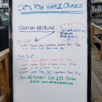 Cap'n Fish's Cruises - Boat Charters Near Me - Boothbay Harbor, Maine