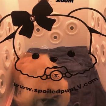 Spoiled Pup - lavender aromatherapy and infrared room - Pet Groomers Near Me - Las Vegas, Nevada Spoiled Pup - lavender aromatherapy and infrared room - Pet Groomers Near Me - Las Vegas, Nevada