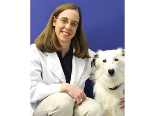 Caring Hands Animal Hospital - Rockville