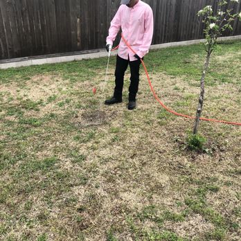 Brady Pest Control - Pest Control Near Me - Grand Prairie, Texas Brady Pest Control - Pest Control Near Me - Grand Prairie, Texas