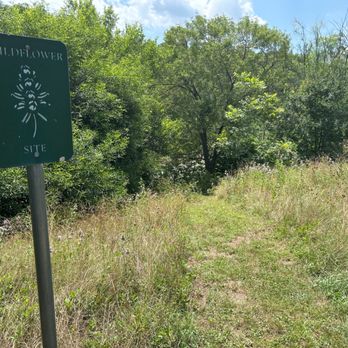 Gregg Hill Pocket Park - Parks Near Me - Austin, Texas