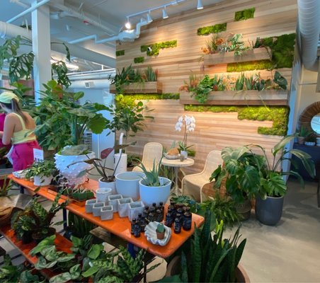 Botanical Bakeshop by null