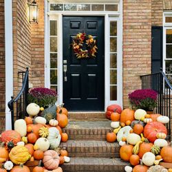 Oh My Gourd Porches