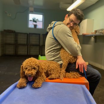 Dogtopia of Bethpage - Pet Groomers Near Me - Bethpage, New York Dogtopia of Bethpage - Pet Groomers Near Me - Bethpage, New York