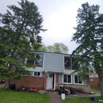 Rubio's Lawn Services - Tree Services Near Me
