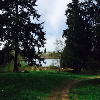 Clark Lake Park - View from one of the back trails. - Lakes Near Me - Kent, Washington