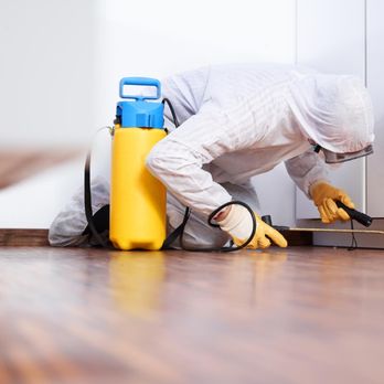 1. Paragon Pest Elimination Services