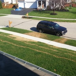 Creative Lawn Care - This photo was taken march 20th 2015. Many lawn professionals say that this looks like gasoline spill from aeration equipment.