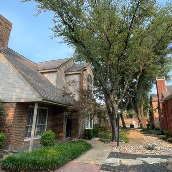 JP Tree Services - We loved the tree but the roots were damaging the foundation and growing over all surrounding houses. - Tree Services Near Me - Dallas, Texas