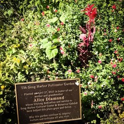 Snug Harbor Cultural Center & Botanical Garden - The beauty of outdoors surrounds us .