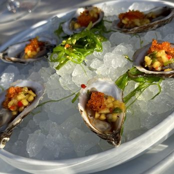 Tasting House - Chili Mango Oysters~ 5 - Wine Bars Near Me - Los Gatos, California Tasting House - Chili Mango Oysters~ 5 - Wine Bars Near Me - Los Gatos, California