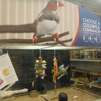 PetSmart - PetSmart Summerville - Choose A Colorful Companion - Pet Training Near Me - Summerville, South Carolina