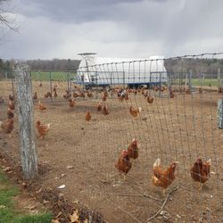 Farm Fresh